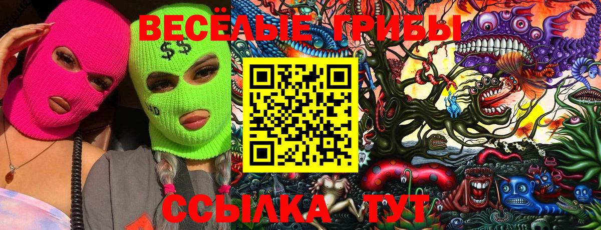 Псилоцибиновые грибы MAGIC MUSHROOMS  Галлюциногенные грибы Cubensis  Лесосибирск  Вход с VPN 