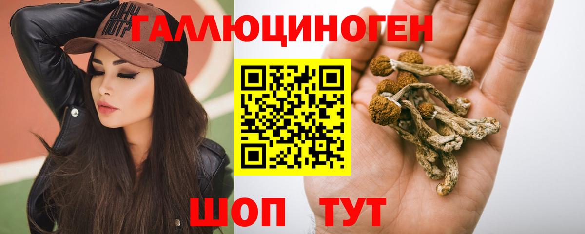 Галлюциногенные грибы мухоморы Лесосибирск